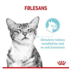 Royal Canin Kattevådmad Sensory Feel Sovs Adult