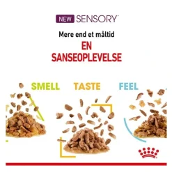 Royal Canin Kattevådmad Sensory Feel Sovs Adult