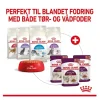 Royal Canin Kattevådmad Sensory Taste Sovs Adult