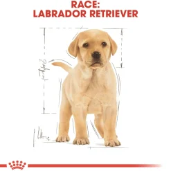 Royal Canin Labrador Retriever Puppy 12 kg - tørfoder til hvalpe