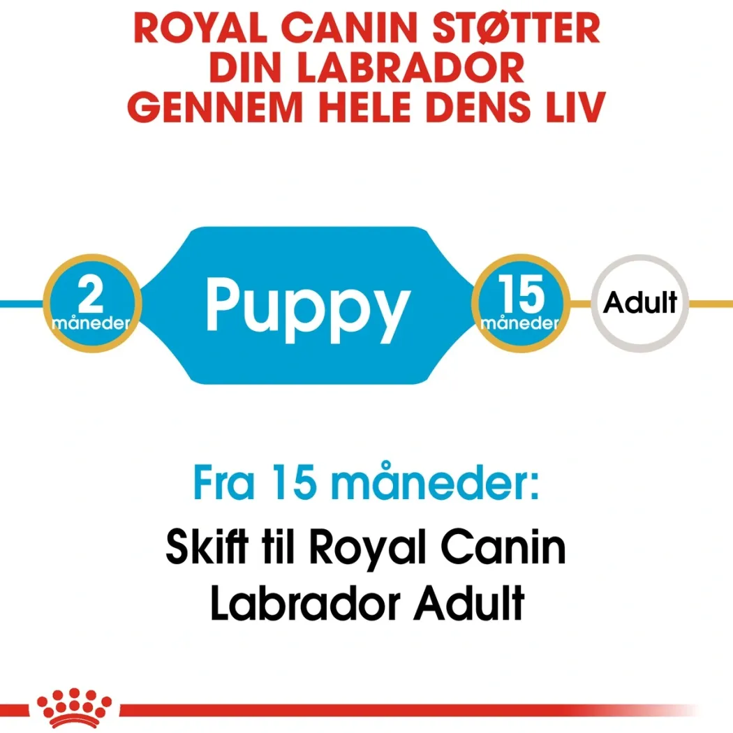 Royal Canin Labrador Retriever Puppy 12 kg - tørfoder til hvalpe