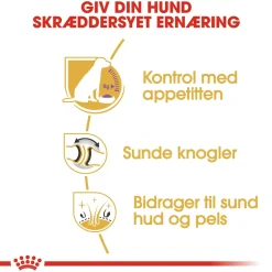 Royal Canin Labrador Retriever Sterilised Adult 12 kg - tørfoder til voksne hunde
