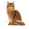 Royal Canin Light Weight Jelly vådfoder 85 g