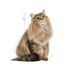 Royal Canin Light Weight Jelly vådfoder 85 g