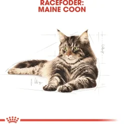 Royal Canin Maine Coon 4 kg