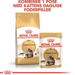 Royal Canin Maine Coon 4 kg