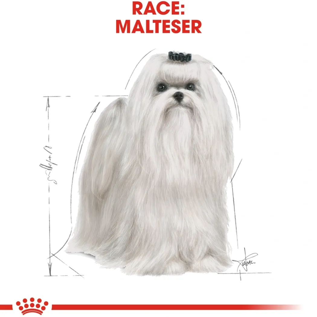Royal Canin Maltese Adult 1,5 kg - tørfoder til maltesere