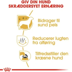 Royal Canin Maltese Adult 1,5 kg - tørfoder til maltesere