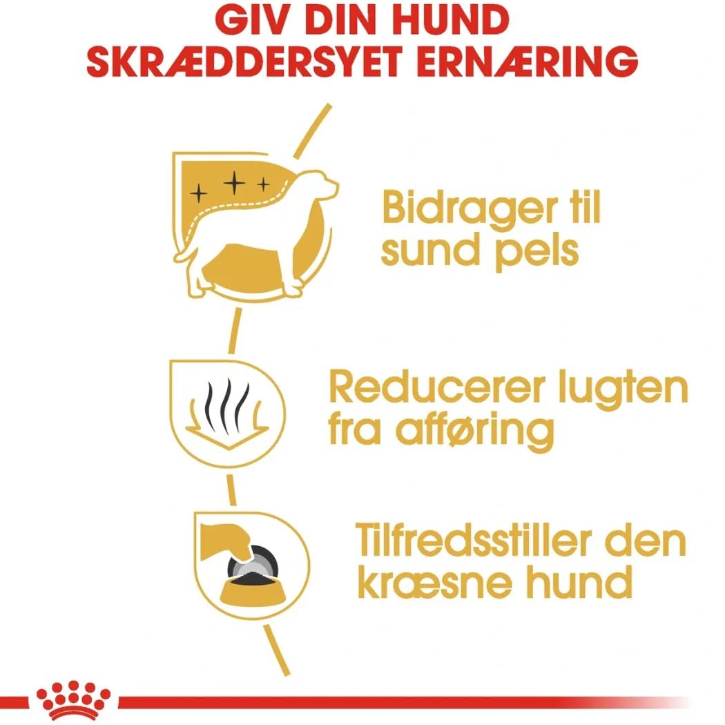Royal Canin Maltese Adult 1,5 kg - tørfoder til maltesere