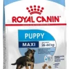 Royal Canin Maxi Puppy 15 kg - hvalpefoder til store hunde