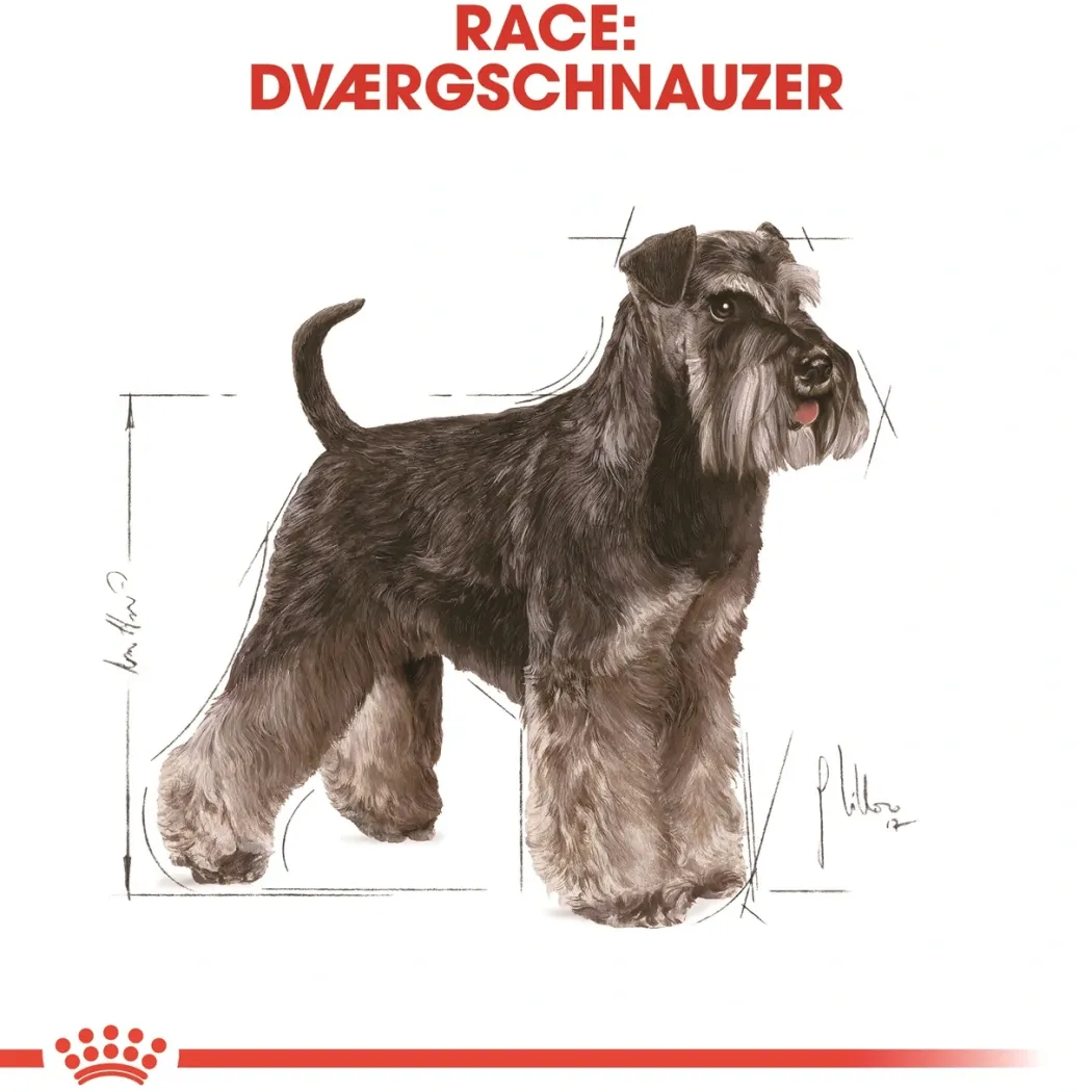 Royal Canin Miniature Schnauzer Adult 3 kg - tørfoder til små hunde