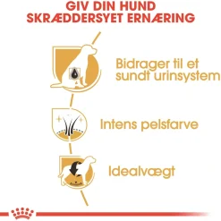 Royal Canin Miniature Schnauzer Adult 3 kg - tørfoder til små hunde