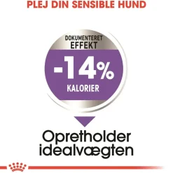 Royal Canin Mini Sterilised Adult 8 kg - hundefoder til steriliserede små hunde