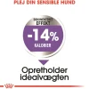 Royal Canin Mini Sterilised Adult 3 kg - hundefoder til små steriliserede hunde