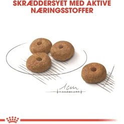 Royal Canin Mini Sterilised Adult 3 kg - hundefoder til små steriliserede hunde