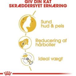 Royal Canin Norsk Skovkat 2 kg