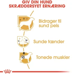 Royal Canin Poodle Adult 1,5 kg - tørfoder til voksne pudler