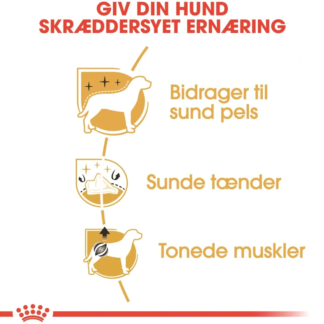 Royal Canin Poodle Adult 7,5 kg - tørfoder til voksne pudler