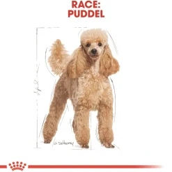 Royal Canin Poodle Adult 7,5 kg - tørfoder til voksne pudler