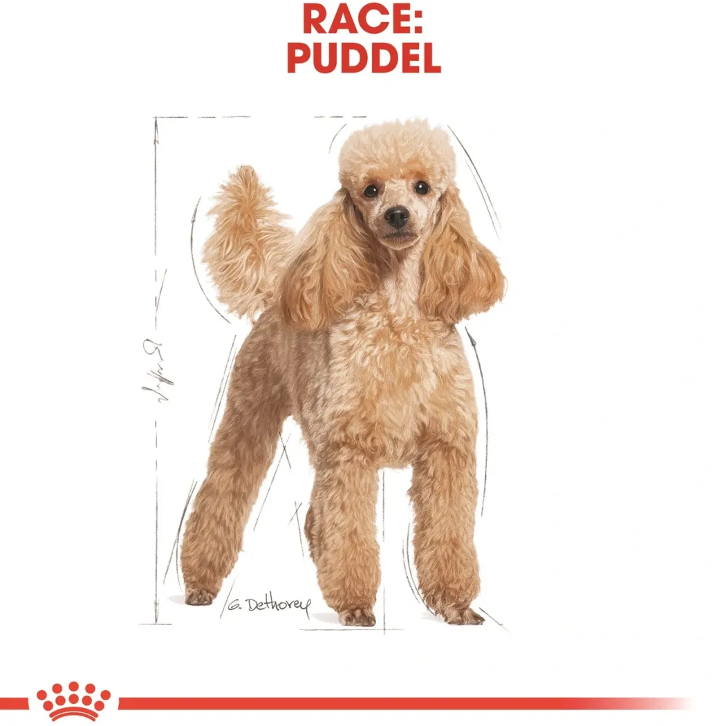 Royal Canin Poodle Adult 7,5 kg - tørfoder til voksne pudler