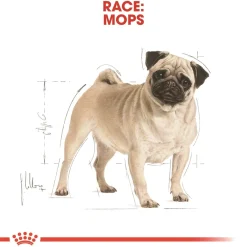 Royal Canin Pug Adult 7,5 kg - tørfoder til mops