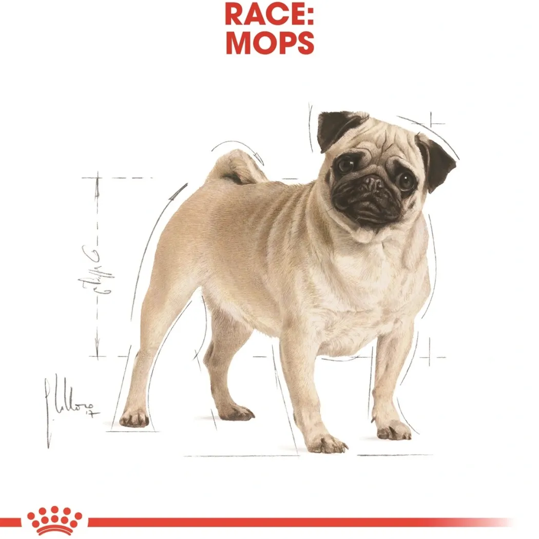 Royal Canin Pug Adult 7,5 kg - tørfoder til mops