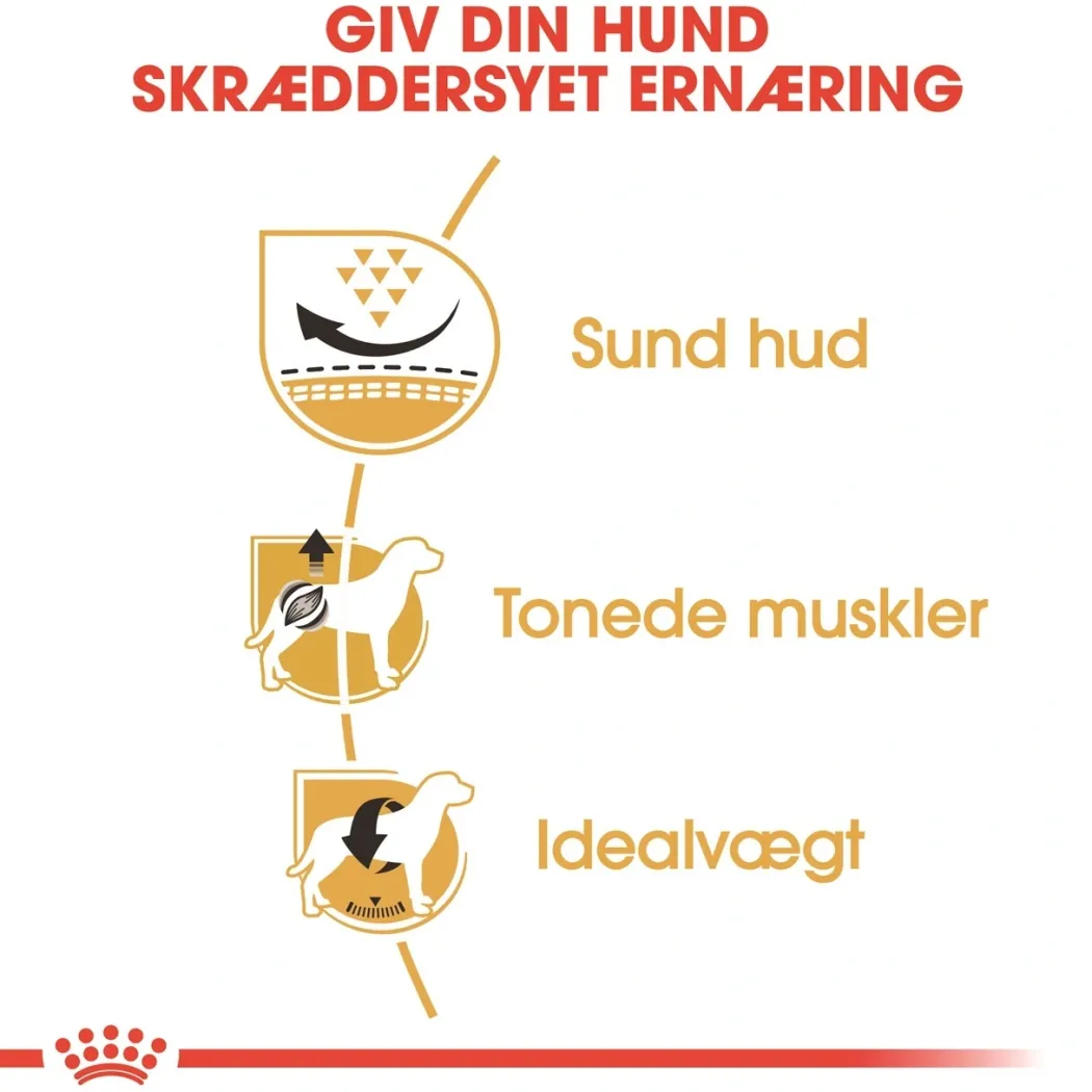 Royal Canin Pug Adult 1,5 kg - tørfoder til mops