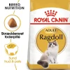 Royal Canin Ragdoll 10 kg