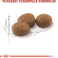 Royal Canin Regular Sterilised 400 gram