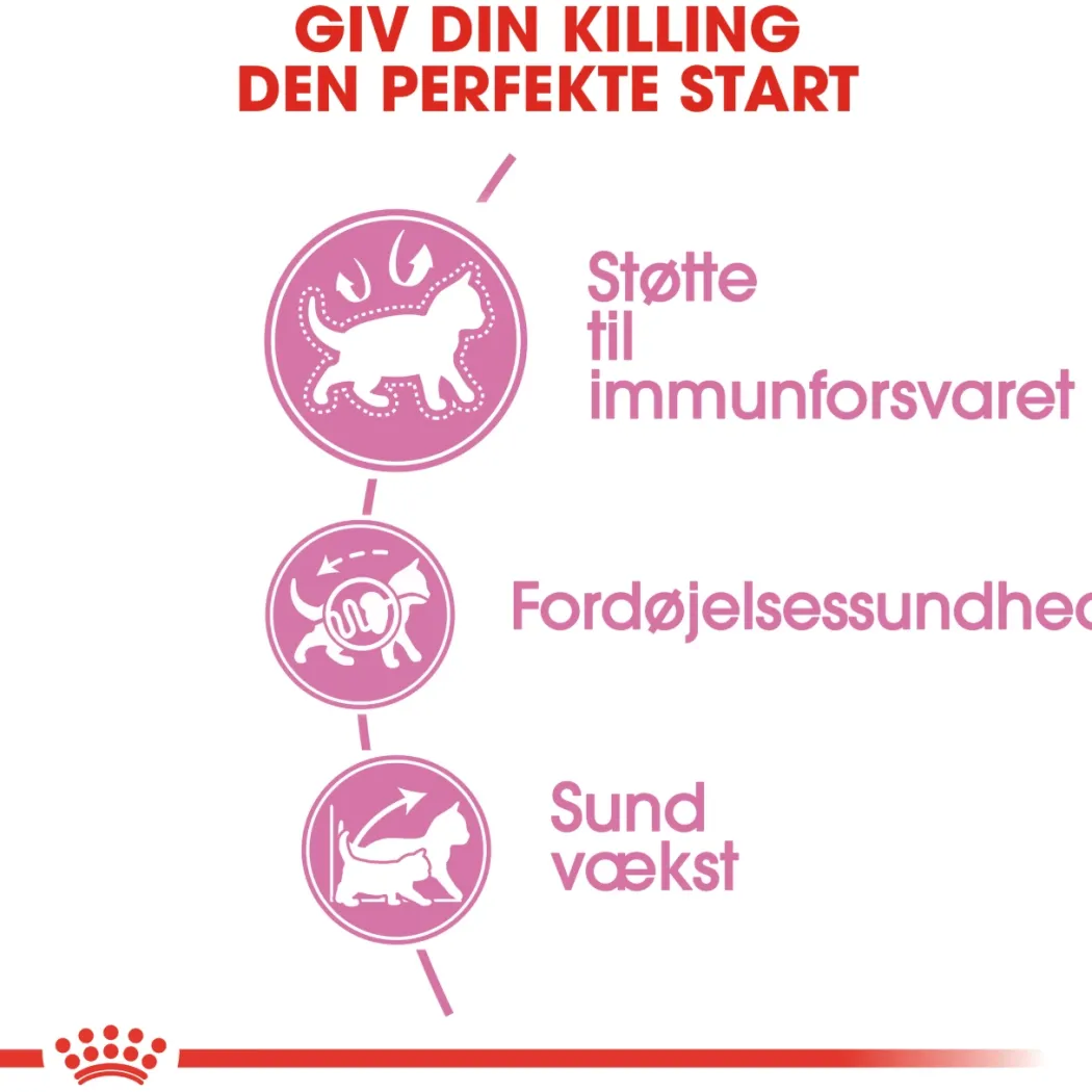 Royal Canin Second Age Kitten 4 kg