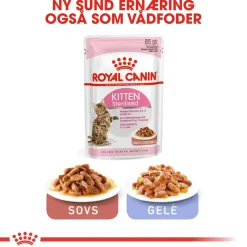 Royal Canin Second Age Kitten Sterilised 2 kg