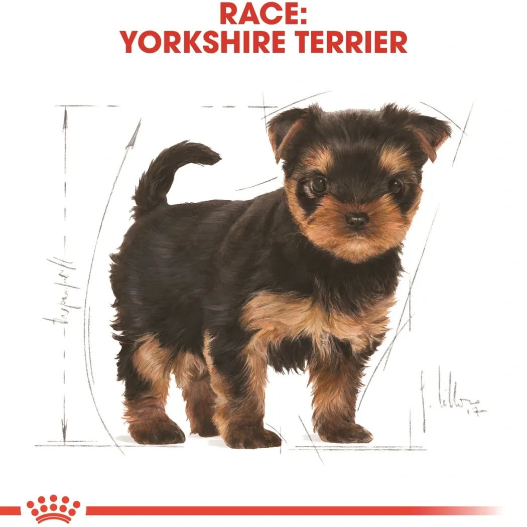Royal Canin Yorkshire Terrier Puppy 1,5 kg - tørfoder til hvalpe