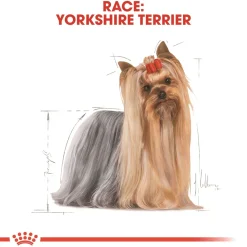 Royal Canin Yorkshire Terrier Adult 1,5 kg - tørfoder til små hunde