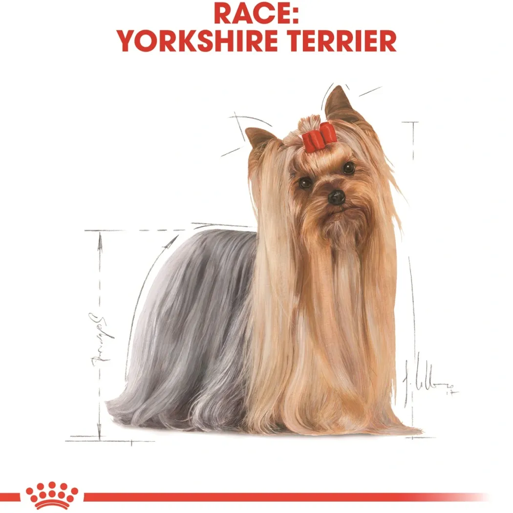 Royal Canin Yorkshire Terrier Adult 7,5 kg - tørfoder til voksne hunde