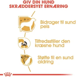 Royal Canin Yorkshire Terrier Adult 7,5 kg - tørfoder til voksne hunde