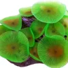 Selvlysende skive anemone