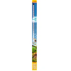 Sera LED X-Change Tube daylight sunrise 96,5 cm