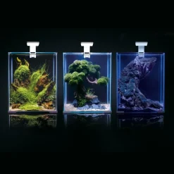 Shrimpset Day and Night 20 L akvarium 25x25x30 cm Sort