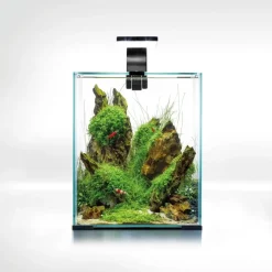 Shrimpset Day and Night 20 L akvarium 25x25x30 cm Sort