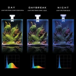 Shrimpset Day and Night 20 L akvarium 25x25x30 cm Sort