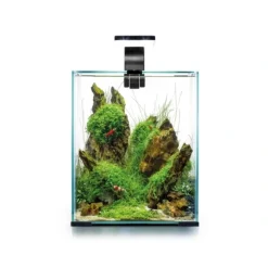Shrimpset Day and Night 30 L akvarium 29x29x35 cm Sort