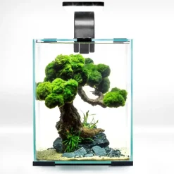 Shrimpset Day and Night 10 L 20x20x25 cm Sort