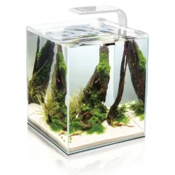 Shrimpset Day and Night 30 L 29x29x35 cm Hvid