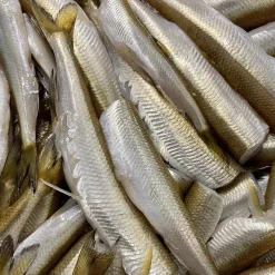 Smelt Frostfoder 5 kg Rent Råfoder uden Indmad til BARF Hunde og Kattemad
