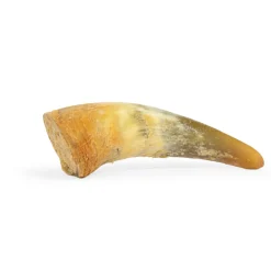 Snack'it Fyldt Oksehorn