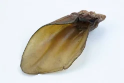 Snackit Kalveøre (Okseøre)