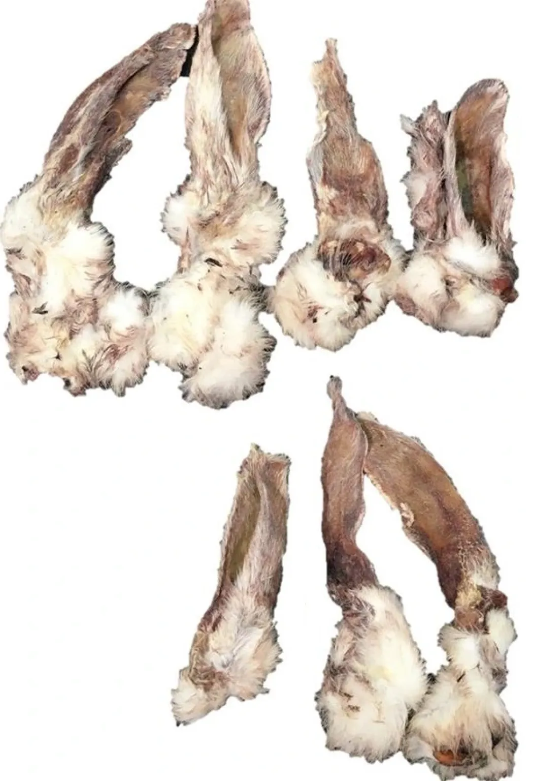 Snackit Kaninører med pels 100 g - Naturlige hundesnacks