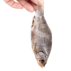 Snack it Karusse 200 g til hunde - sprød fiskenydelse og sund protein