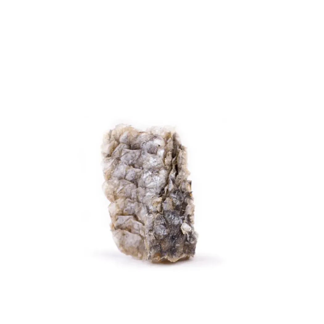 Snackit Lakseskind Mini Ruller 100 g - naturlige hundesnacks