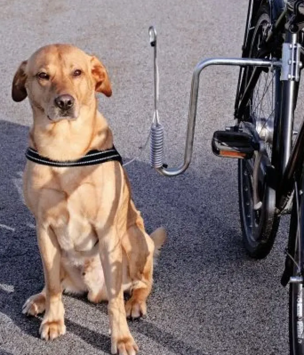 Springer komplet Cykelbeslag